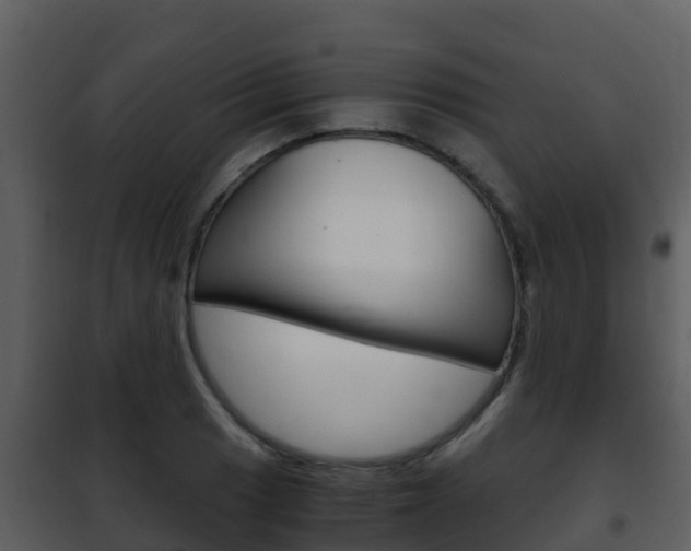 X0000101991033200807180820
