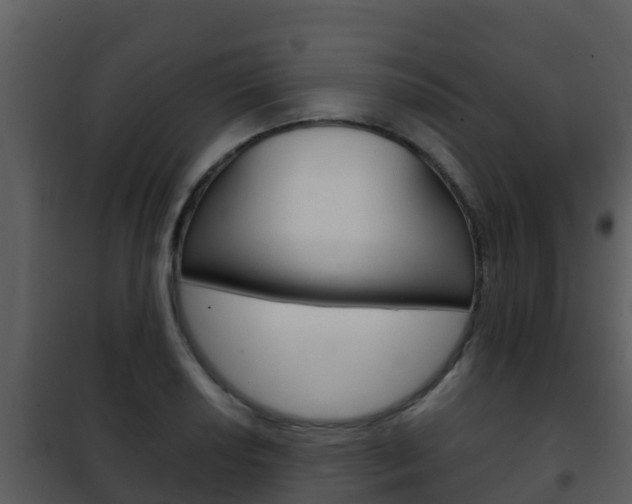 X0000101991034200807180820