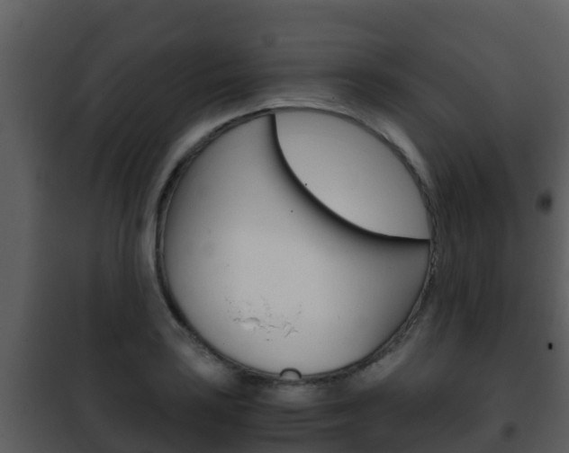 X0000101991035200807180820