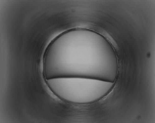 X0000101991036200807180820