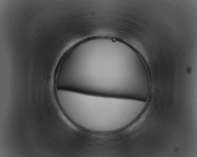 X0000101991037200807180820