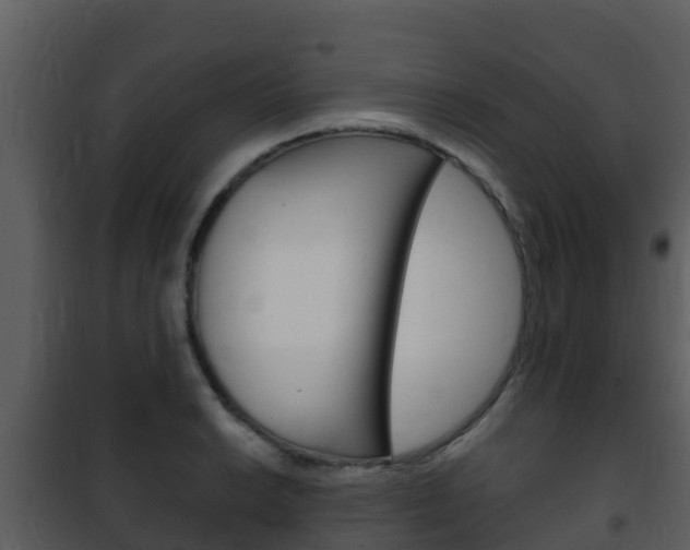 X0000101991038200807180820