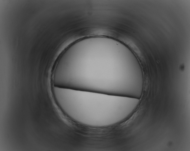 X0000101991039200807180820