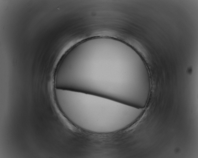 X0000101991040200807180820