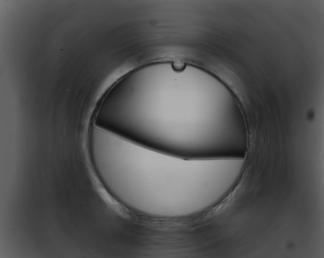 X0000101991042200807180820