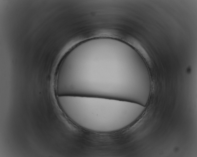 X0000101991043200807180820