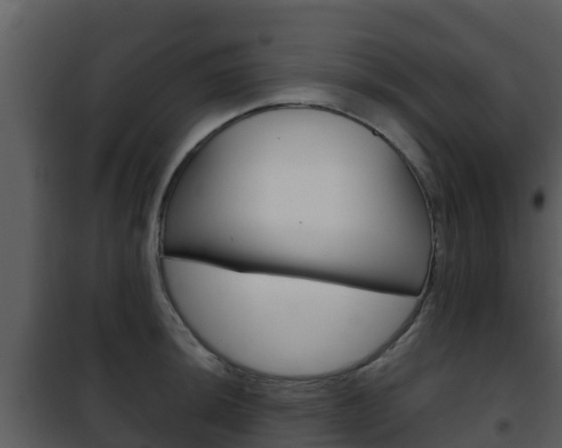 X0000101991044200807180820