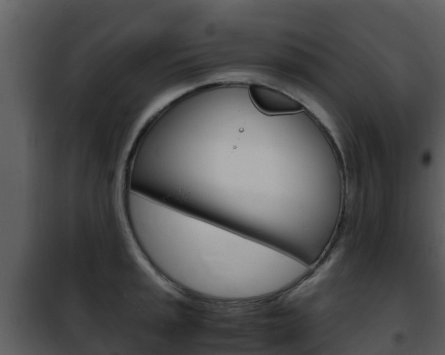 X0000101991045200807180820