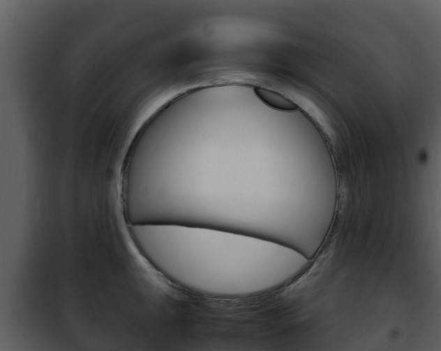 X0000101991047200807180820
