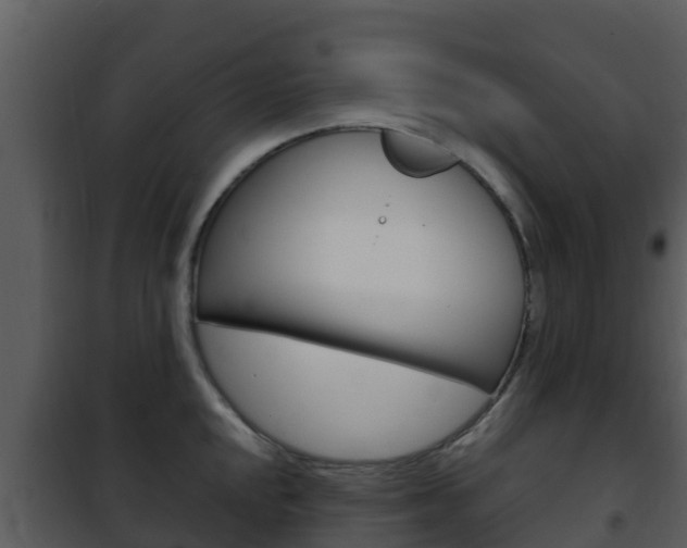 X0000101991048200807180820