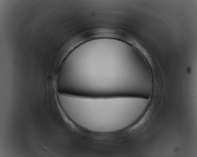 X0000101991049200807180820