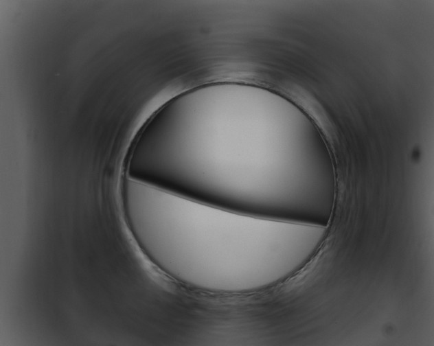 X0000101991050200807180820