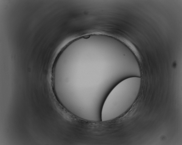 X0000101991051200807180820