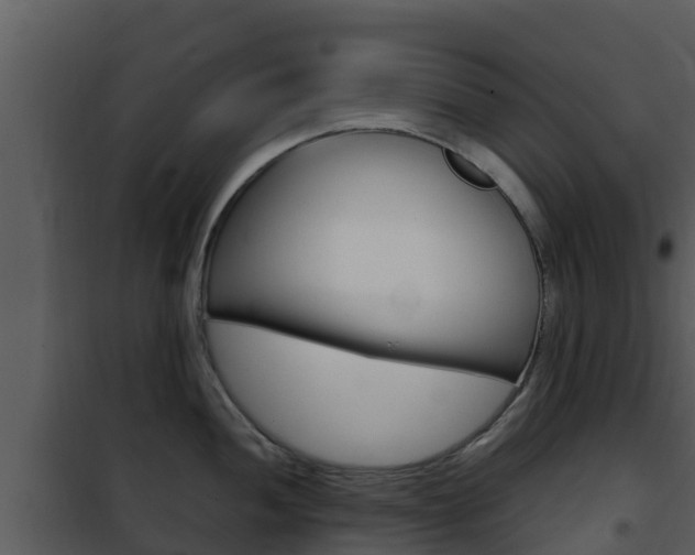 X0000101991052200807180820