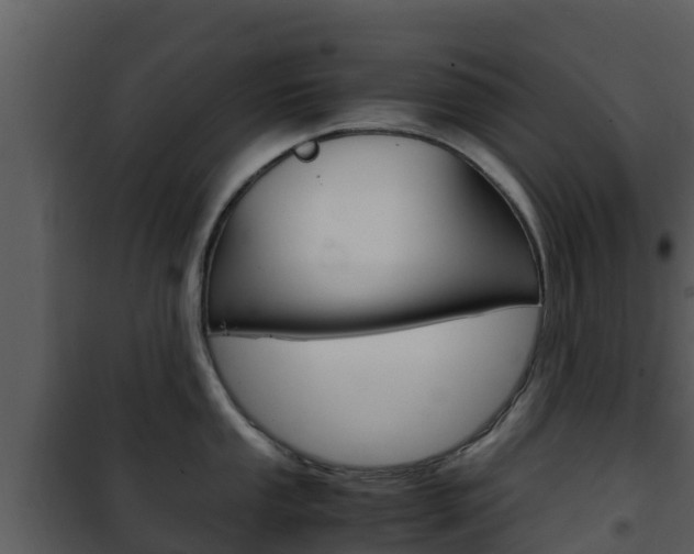 X0000101991053200807180820