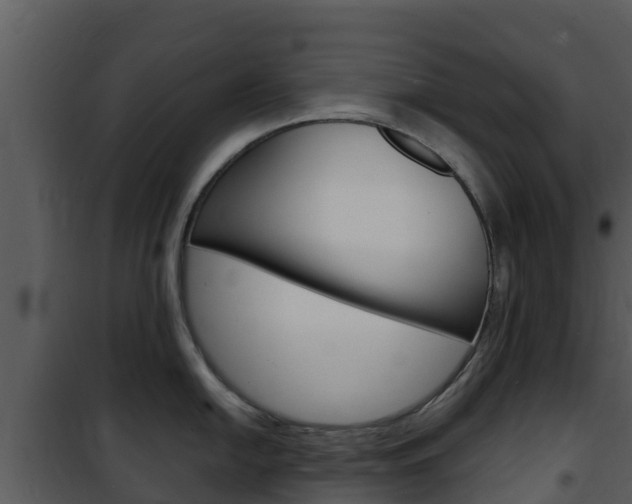 X0000101991054200807180820