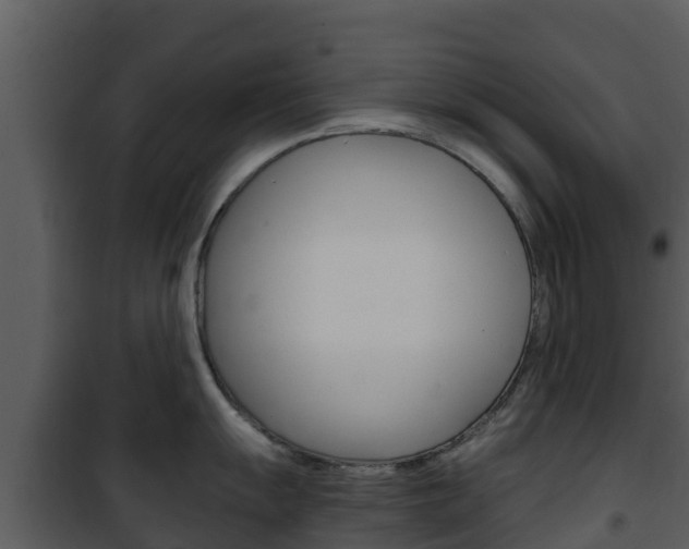 X0000101991055200807180820
