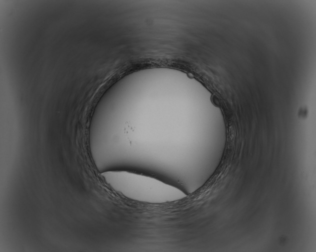 X0000101991057200807180819