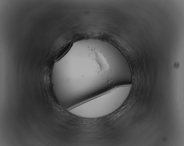 X0000101991058200807180819