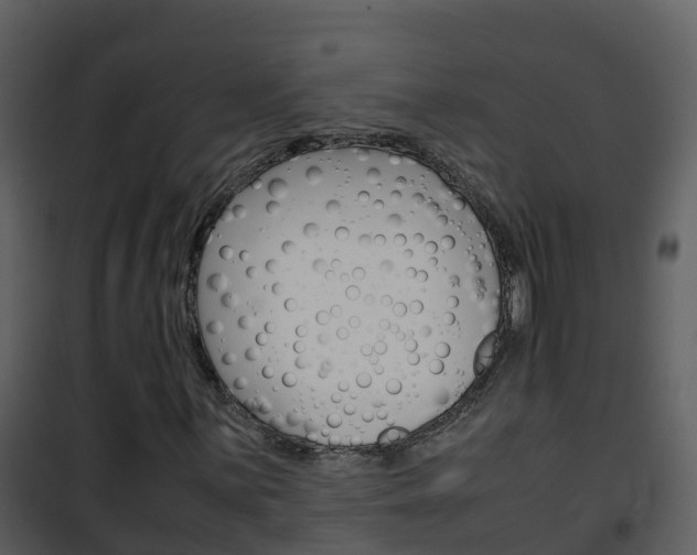 X0000101991059200807180819
