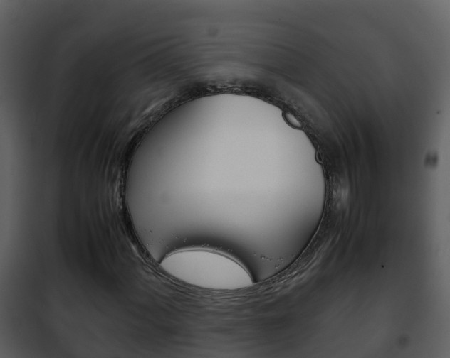 X0000101991060200807180819