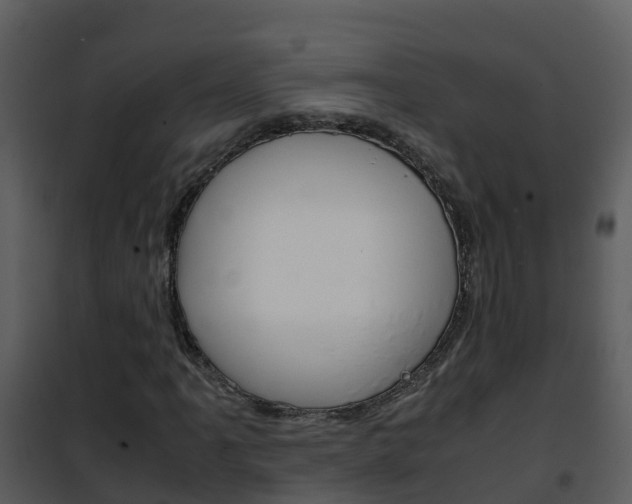 X0000101991061200807180819