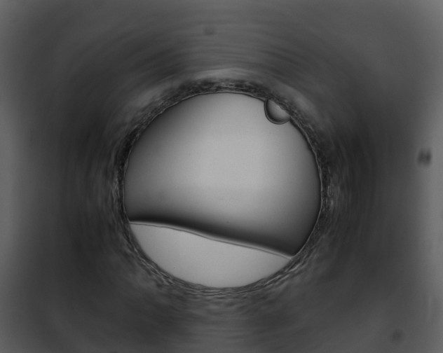 X0000101991062200807180819