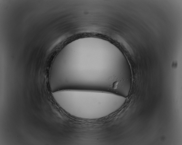 X0000101991064200807180819