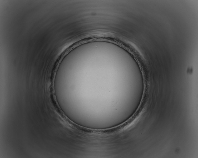 X0000101991065200807180819