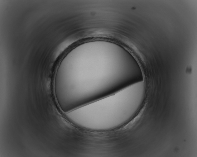X0000101991066200807180819
