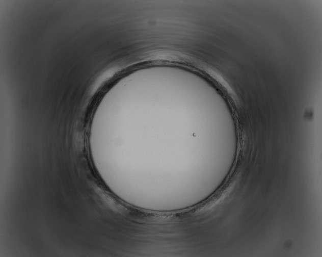 X0000101991067200807180819