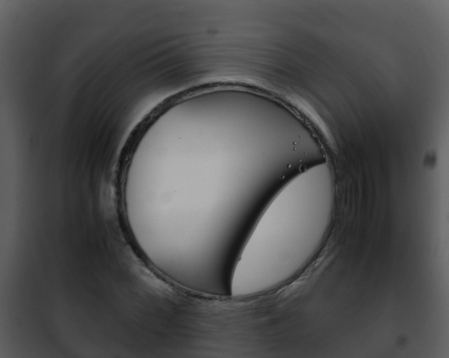 X0000101991068200807180819