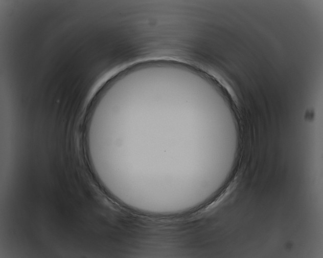X0000101991069200807180819
