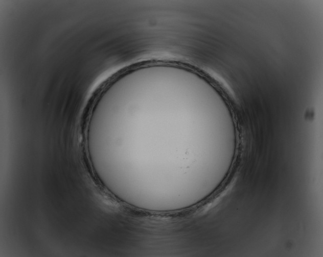 X0000101991070200807180819