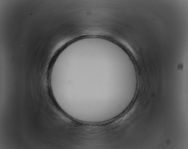 X0000101991071200807180819