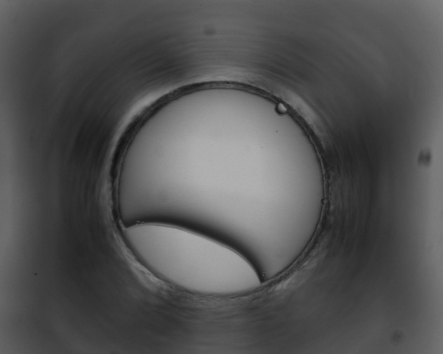 X0000101991072200807180819