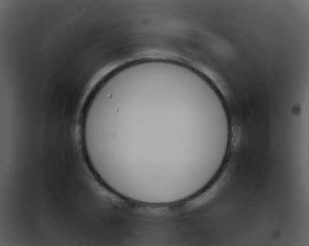 X0000101991074200807180819
