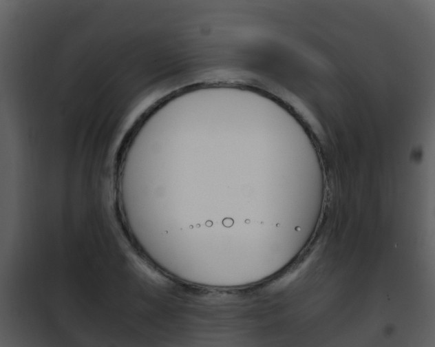 X0000101991075200807180819