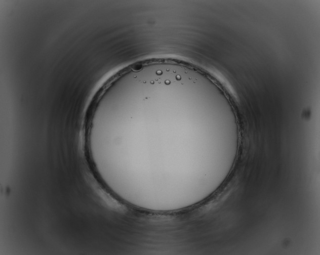 X0000101991076200807180819