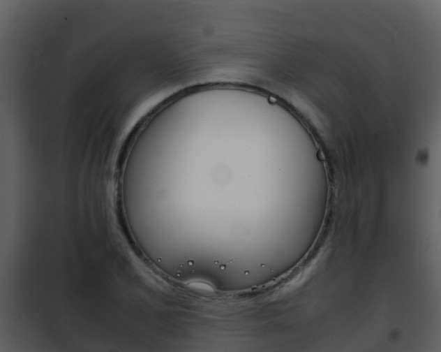 X0000101991077200807180819