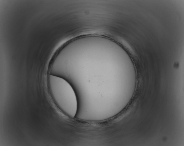 X0000101991079200807180819