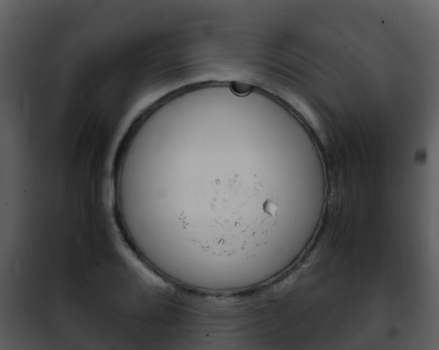 X0000101991080200807180819