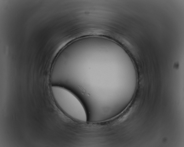 X0000101991081200807180819