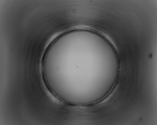 X0000101991082200807180819