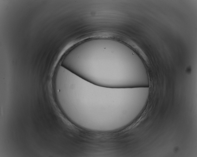 X0000101991083200807180819