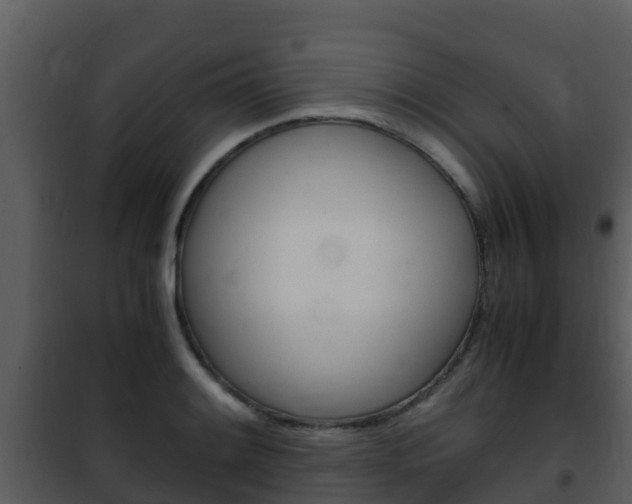 X0000101991084200807180819