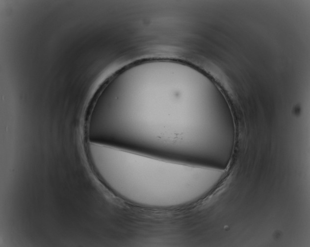 X0000101991085200807180819