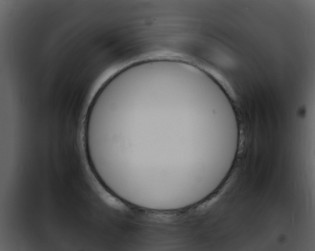 X0000101991086200807180819