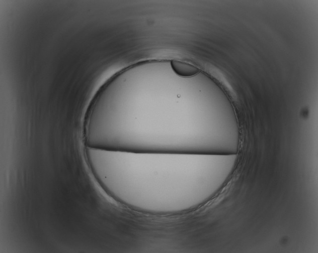 X0000101991087200807180819