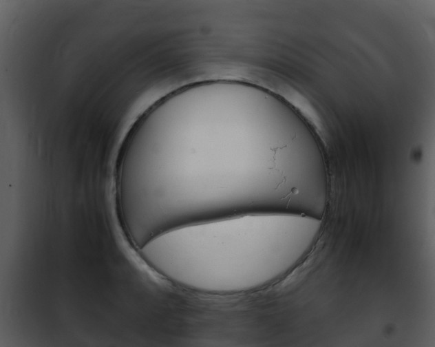 X0000101991088200807180819